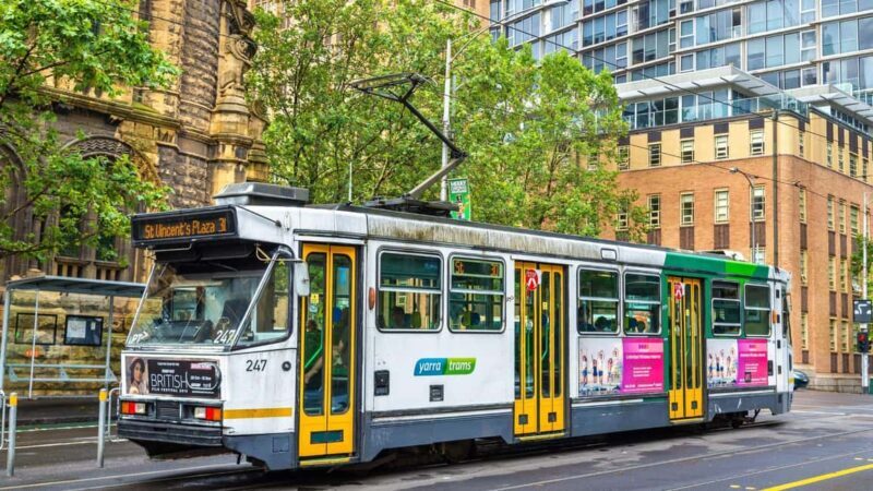 Best of Melbourne: Private Walking Tour with a Local - Is This Tour Worth It?