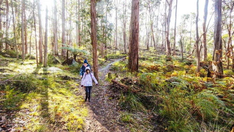 Best of Melbourne: Private Walking Tour with a Local - Who Would Love This Tour?