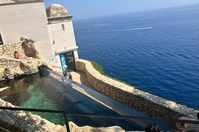 best-of-monaco-private-tour-and-outlet-shopping-experience