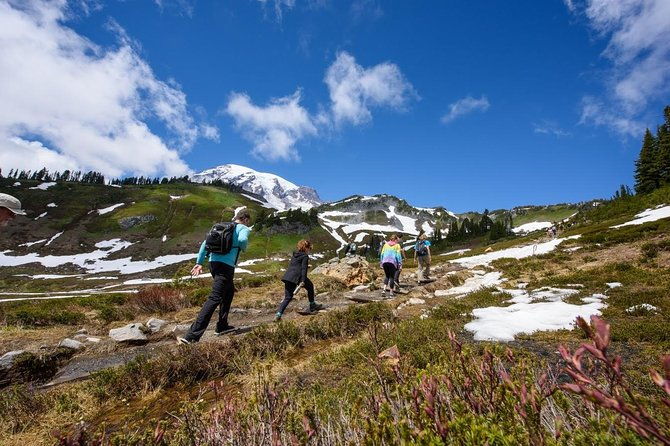 best-of-mount-rainier-national-park-from-seattle-all-inclusive-small-group-tour