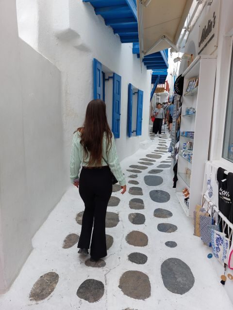 Best of Mykonos island 4 hours private tour - Who Is This Tour Best For?