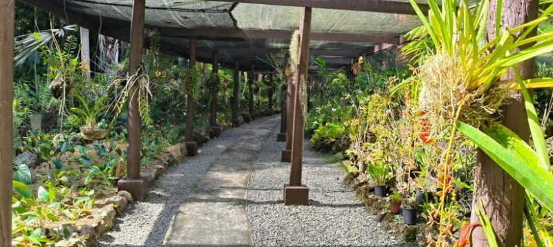 Best of Nadi Highlights - Discovering Nadi: What to Expect from the Tour