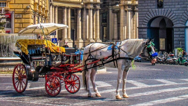 best-of-naples-private-walking-tour-with-a-local