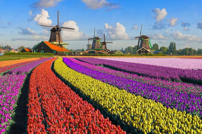 best-of-netherlands-zaanse-schans-mills-the-hague-rotterdam