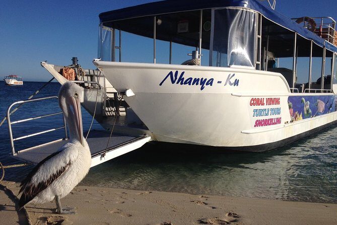Best of Ningaloo Mantas and More - Who Will Love It?