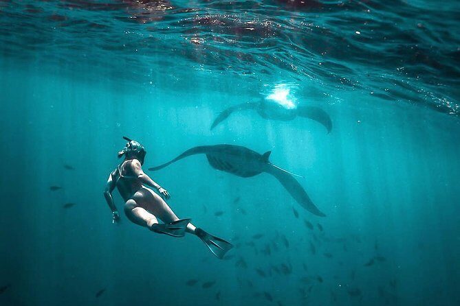 Best of Nusa Penida with Snorkeling Tour - Key Points