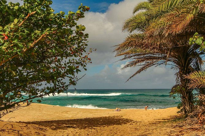 best-of-oahu-pearl-harbor-oahu-circle-island-tour-from-waikiki