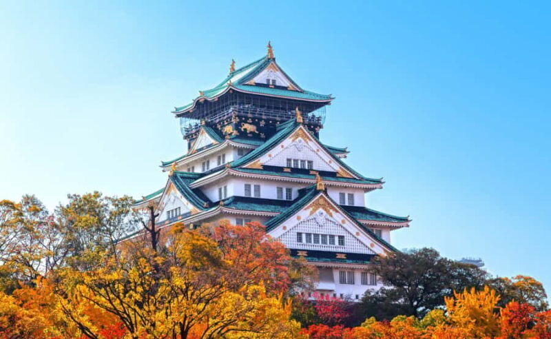 Best of Osaka: Castle, Markets & Dotonbori Day Tour - Key Points
