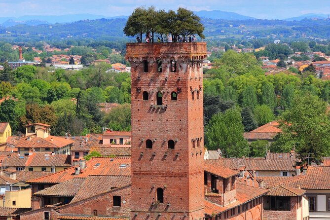 best-of-pisa-lucca-volterra-small-group-tour-from-florence