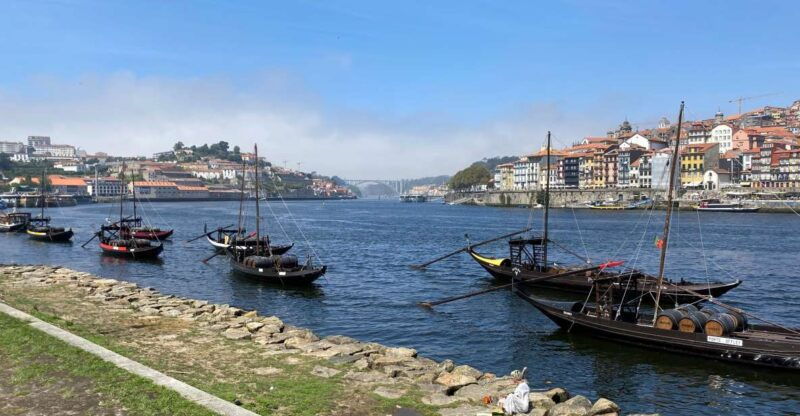 best-of-porto-private-tour-from-lisbon