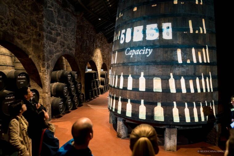 best-of-porto-private-tour-from-lisbon