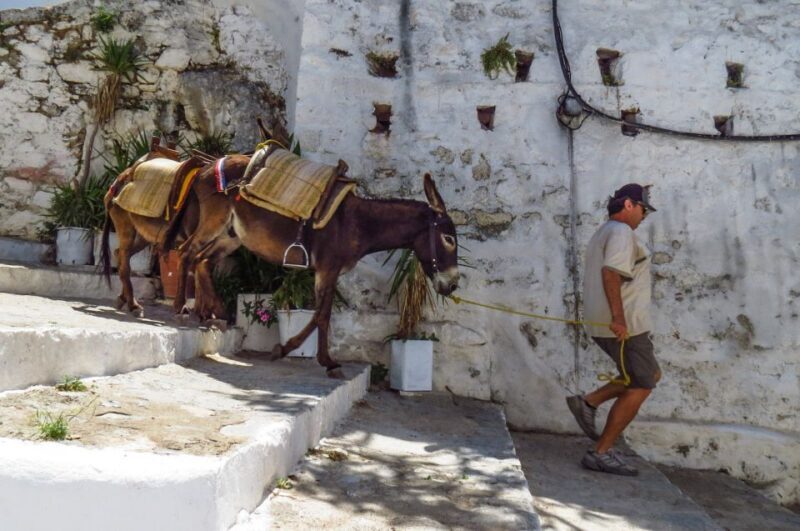 Best of Rhodes and Lindos Private Tour - Small Group - Final Thoughts