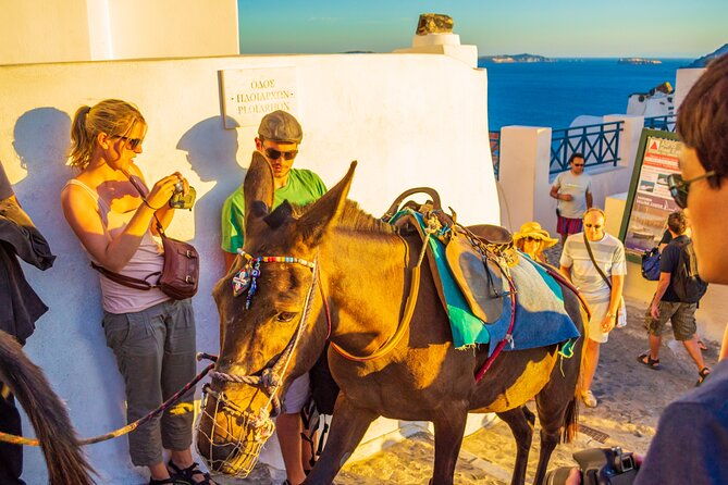 best-of-santorini-full-day-private-trip-from-mykonos