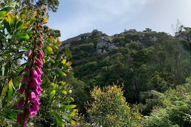 best-of-sintra-cascais-with-locals-3