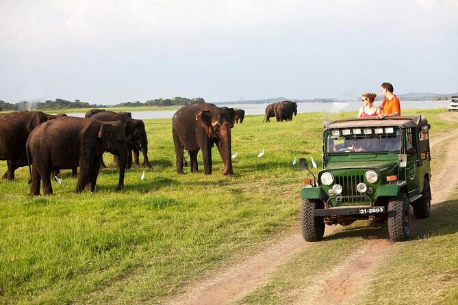 Best of Sri Lanka 8 Days All Inclusive Tour - FAQs