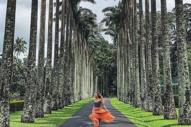 Best Of Sri lanka Tour (06 Days 05 Nights) - Kandy- N.Eliya -Bentota-Colombo - Final Thoughts