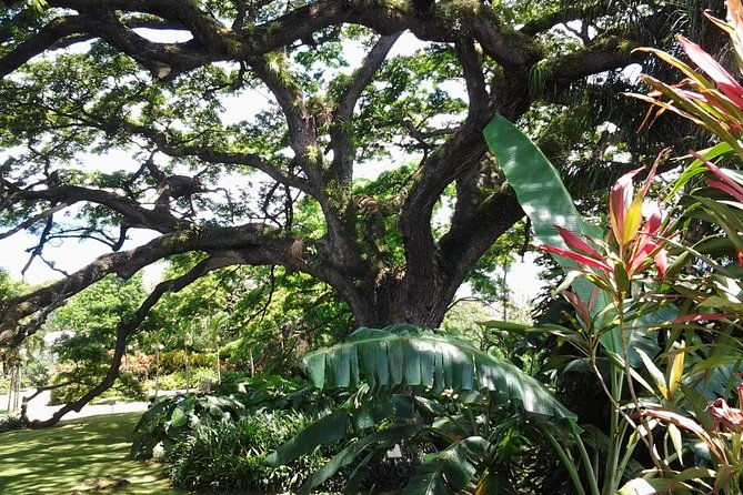 best-of-st-kitts-highlight-tour