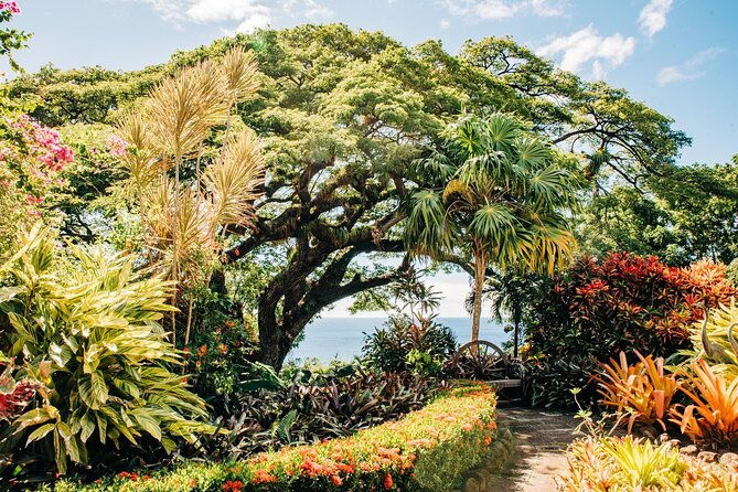 best-of-st-kitts-private-half-day-tour