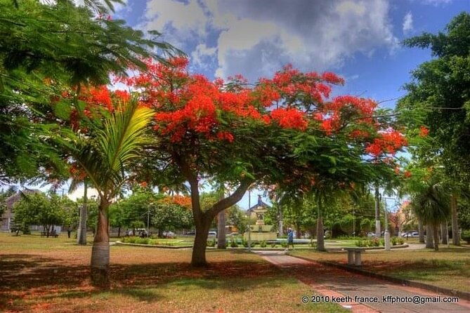 best-of-st-kitts-private-half-day-tour