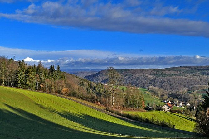best-of-the-black-forest-and-rhinefalls-from-zurich