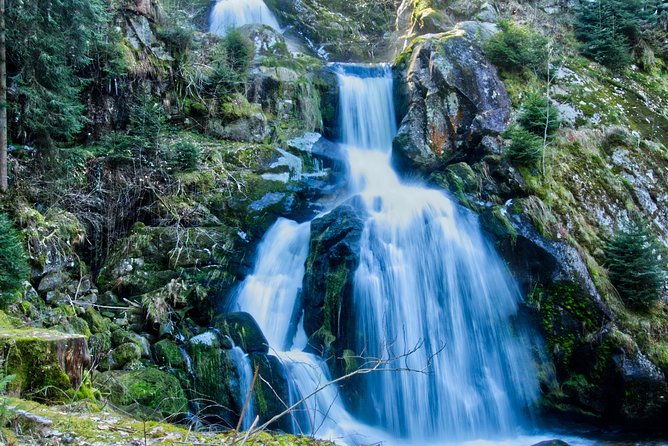 best-of-the-black-forest-and-rhinefalls-from-zurich