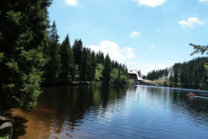 best-of-the-black-forest-and-rhinefalls-from-zurich
