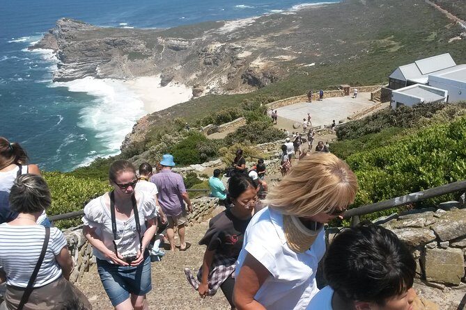 Best of the Cape (Cape Point & Winelands) - An In-Depth Look at the Itinerary