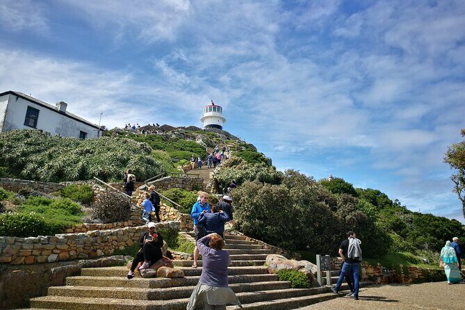 Best of the Cape Full Day Private Tour - Practical Details and Considerations