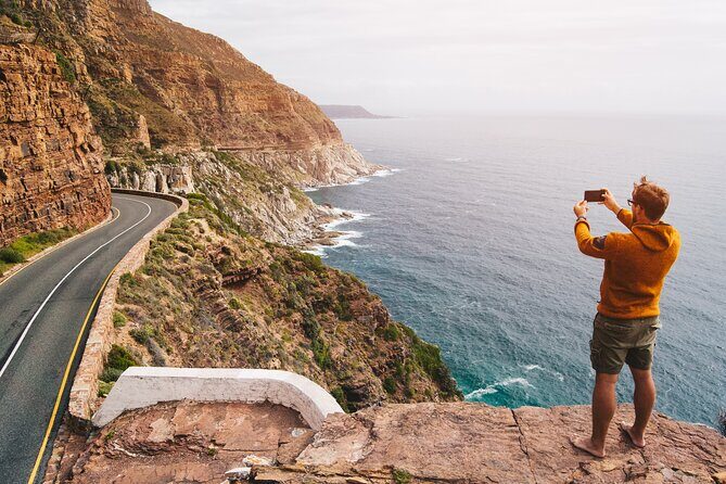 Best of The Cape Full Day Private Tour with Table Mountain - An In-Depth Look at the Tour Experience