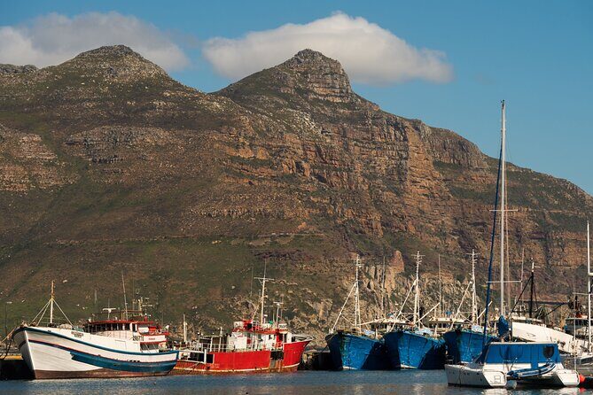 Best of the Cape Private full day tour - A Deep Dive into Cape Town’s Best: What to Expect from This Private Tour