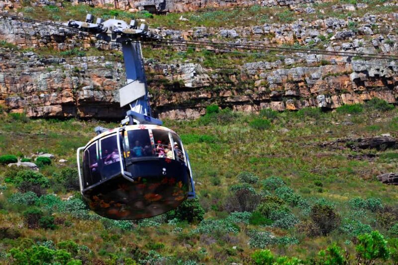 Best of the cape: Table Mountain & Peninsula Private Tour - Introduction: Why This Tour Stands Out