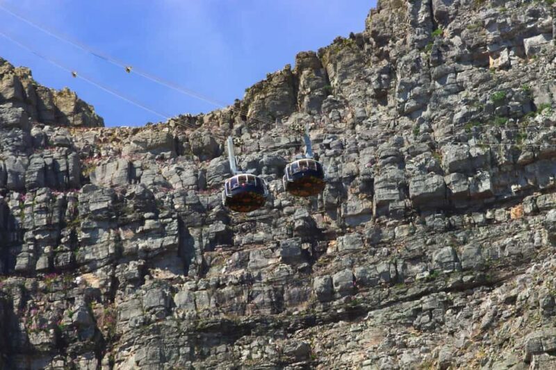 Best of the cape: Table Mountain & Peninsula Private Tour - Practical Details & Additional Insights