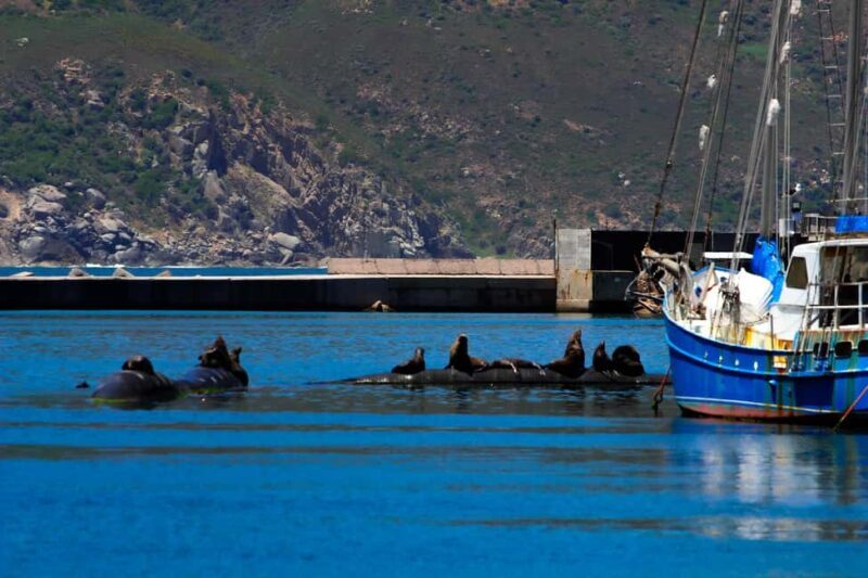 Best of the cape: Table Mountain & Peninsula Private Tour - Summary