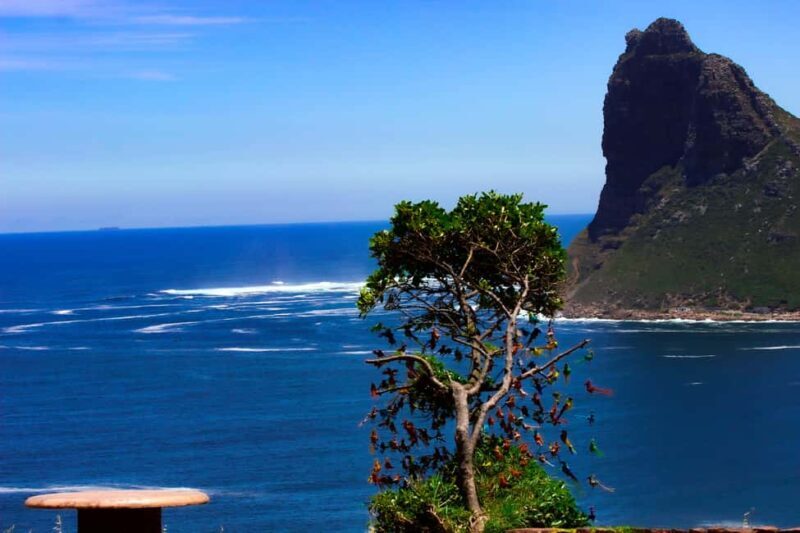Best of the cape: Table Mountain & Peninsula Private Tour - Frequently Asked Questions