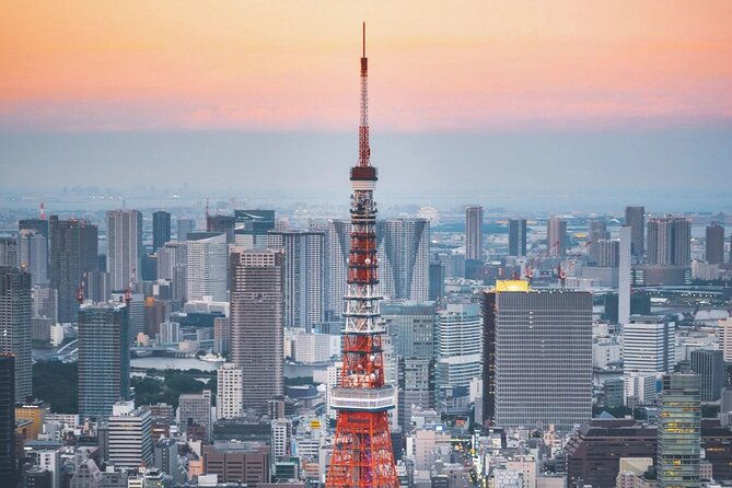 best-of-tokyo-in-a-day-small-group-tour
