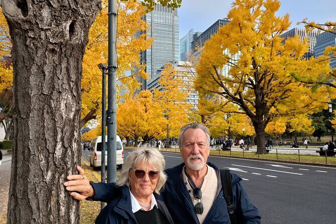 Best of Tokyo Private Tour for Yokohama Cruise Passengers - A Deep Dive into the Experience