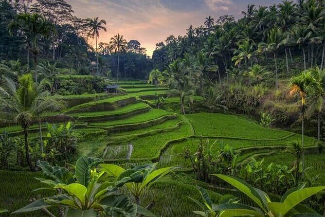 Best of Ubud Full Day Private Tour - Exploring the Itinerary in Detail