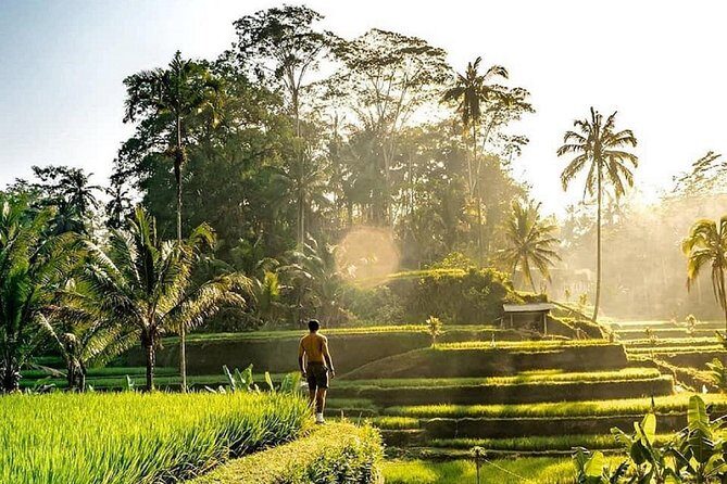 Best of Ubud - Full day Tour + FREE WI-FI - Key Points