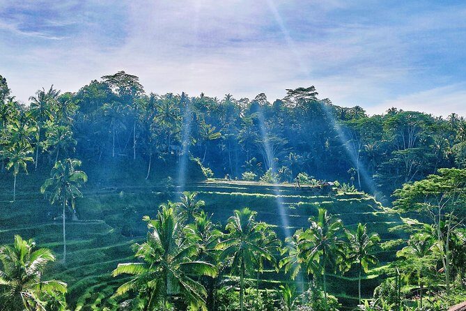 Best of Ubud - Full day Tour + FREE WI-FI - Exploring the Highlights of the Ubud Day Tour