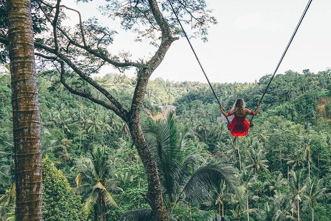 Best of Ubud: Private All-Inclusive Tour with Jungle Swing - Final Thoughts