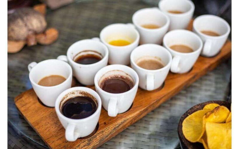 best-of-ubud-private-guided-full-day-tour-ubud-bali