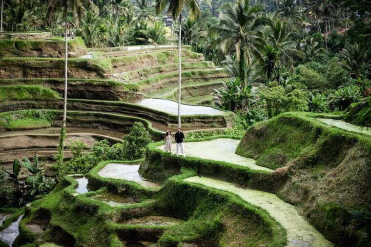 best-of-ubud-purification-rice-terrace-and-waterfall