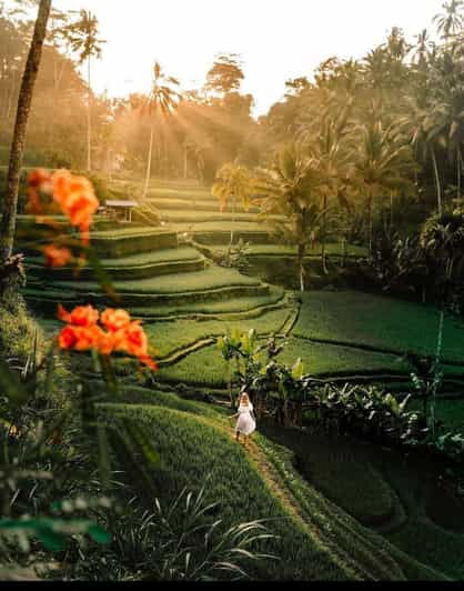 best-of-ubud-rice-terrace-waterfall-temple-and-art-village