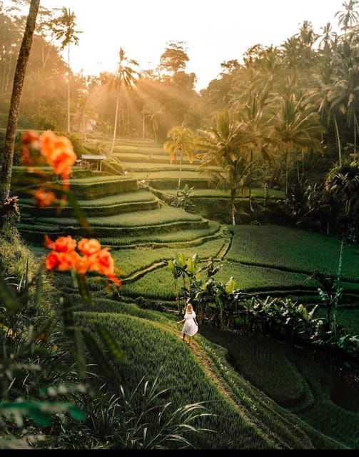 best-of-ubud-rice-terrace-waterfall-temple-and-art-village