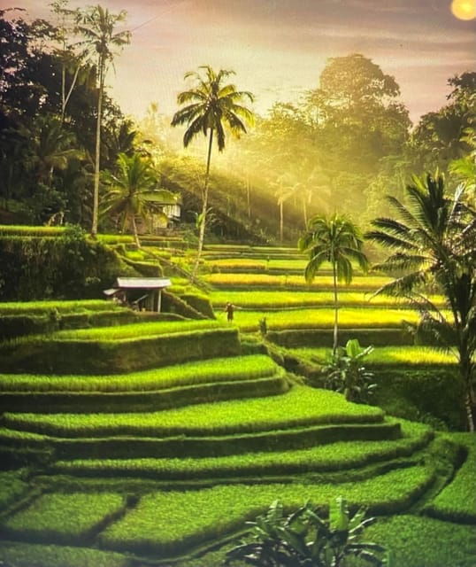 best-of-ubud-rice-terrace-waterfall-temple-and-art-village