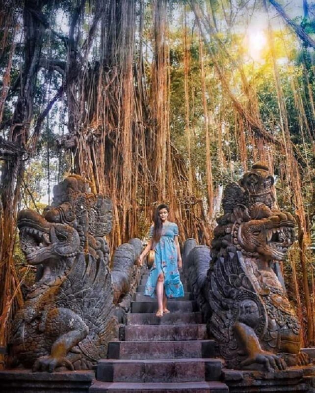 Best of Ubud Tour with a Female Local Guide - Practical Details and Tips