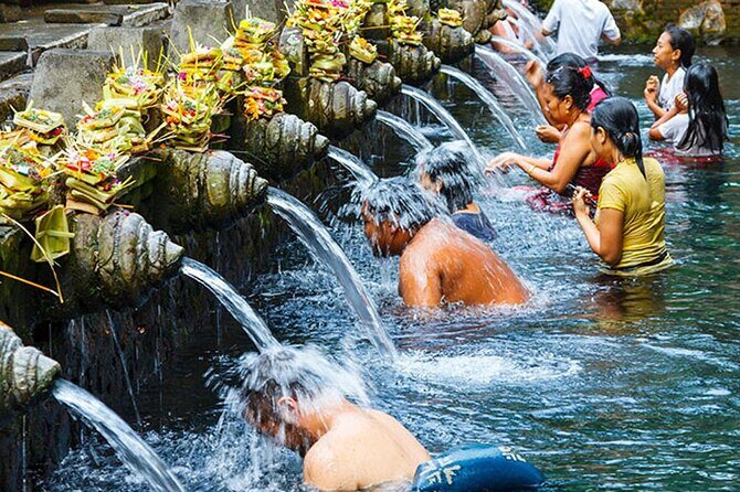 Best of Ubud Tour with Aloha Swing Packages - Who Will Love This Tour?