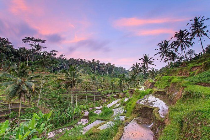 Best of Ubud Tours - A Closer Look at the Itinerary