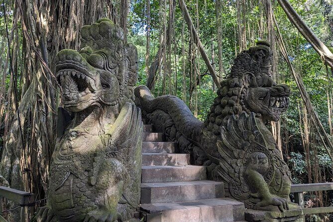 Best of Ubud Village Tour with Jungle Swing - Most Instagram Site - The Sum Up