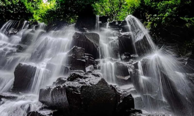 Best of Ubud: Waterfall, Temple & Rice Terrace - An In-Depth Look at the Itinerary